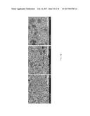 GRAPHENE-COATED POROUS SILICON-CARBON COMPOSITE AND METHOD OF     MANUFACTURING THE SAME diagram and image