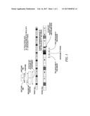 HARQ ADAPTATION FOR ACQUISITION OF NEIGHBOR CELL SYSTEM INFORMATION diagram and image