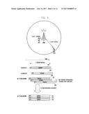 METHOD AND APPARATUS FOR MANAGING MULTIPLE TIMING ADVANCE GROUPS IN MOBILE     COMMUNICATION SYSTEM SUPPORTING CARRIER AGGREGATION diagram and image