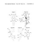 A PHONE FOR USE IN HEALTH MONITORING diagram and image