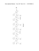 GAMMA-AAPEPTIDES WITH POTENT AND BROAD-SPECTRUM ANTIMICROBIAL ACTIVITY diagram and image