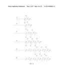 GAMMA-AAPEPTIDES WITH POTENT AND BROAD-SPECTRUM ANTIMICROBIAL ACTIVITY diagram and image