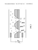 FLUORESCENCE-BASED ANALYSIS OF BIOPOLYMERS USING NANOPORES diagram and image