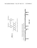 FLUORESCENCE-BASED ANALYSIS OF BIOPOLYMERS USING NANOPORES diagram and image