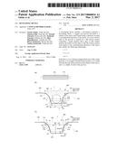 DEVELOPING DEVICE diagram and image