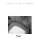 NANOSCALE SOFC ELECTRODE ARCHITECTURE ENGINEERED USING ATOMIC LAYER     DEPOSITION diagram and image