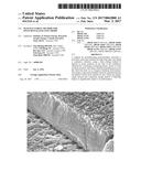 MANUFACTURING METHOD FOR POLYCRYSTALLINE ELECTRODE diagram and image