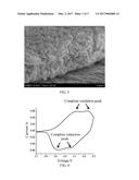 MANUFACTURING METHOD FOR POLYCRYSTALLINE ELECTRODE diagram and image