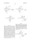 MODULATORS OF TOLL-LIKE RECEPTORS diagram and image