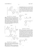 MODULATORS OF TOLL-LIKE RECEPTORS diagram and image