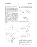 POLYFLUORINATED COMPOUNDS ACTING AS BRUTON TYROSINE KINASE INHIBITORS diagram and image