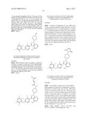 POLYFLUORINATED COMPOUNDS ACTING AS BRUTON TYROSINE KINASE INHIBITORS diagram and image