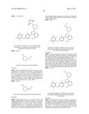 POLYFLUORINATED COMPOUNDS ACTING AS BRUTON TYROSINE KINASE INHIBITORS diagram and image