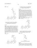 POLYFLUORINATED COMPOUNDS ACTING AS BRUTON TYROSINE KINASE INHIBITORS diagram and image