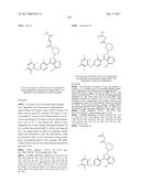 POLYFLUORINATED COMPOUNDS ACTING AS BRUTON TYROSINE KINASE INHIBITORS diagram and image