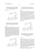 POLYFLUORINATED COMPOUNDS ACTING AS BRUTON TYROSINE KINASE INHIBITORS diagram and image