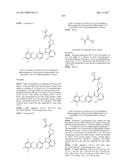 POLYFLUORINATED COMPOUNDS ACTING AS BRUTON TYROSINE KINASE INHIBITORS diagram and image