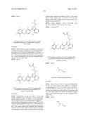 POLYFLUORINATED COMPOUNDS ACTING AS BRUTON TYROSINE KINASE INHIBITORS diagram and image