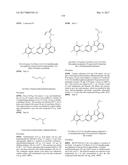 POLYFLUORINATED COMPOUNDS ACTING AS BRUTON TYROSINE KINASE INHIBITORS diagram and image