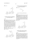 POLYFLUORINATED COMPOUNDS ACTING AS BRUTON TYROSINE KINASE INHIBITORS diagram and image