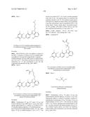 POLYFLUORINATED COMPOUNDS ACTING AS BRUTON TYROSINE KINASE INHIBITORS diagram and image