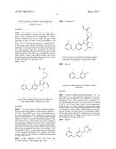 POLYFLUORINATED COMPOUNDS ACTING AS BRUTON TYROSINE KINASE INHIBITORS diagram and image