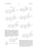 POLYFLUORINATED COMPOUNDS ACTING AS BRUTON TYROSINE KINASE INHIBITORS diagram and image