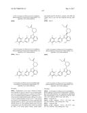 POLYFLUORINATED COMPOUNDS ACTING AS BRUTON TYROSINE KINASE INHIBITORS diagram and image