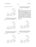 POLYFLUORINATED COMPOUNDS ACTING AS BRUTON TYROSINE KINASE INHIBITORS diagram and image