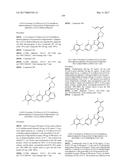 POLYFLUORINATED COMPOUNDS ACTING AS BRUTON TYROSINE KINASE INHIBITORS diagram and image