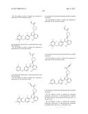 POLYFLUORINATED COMPOUNDS ACTING AS BRUTON TYROSINE KINASE INHIBITORS diagram and image