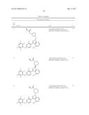 POLYFLUORINATED COMPOUNDS ACTING AS BRUTON TYROSINE KINASE INHIBITORS diagram and image