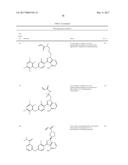 POLYFLUORINATED COMPOUNDS ACTING AS BRUTON TYROSINE KINASE INHIBITORS diagram and image