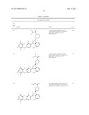 POLYFLUORINATED COMPOUNDS ACTING AS BRUTON TYROSINE KINASE INHIBITORS diagram and image