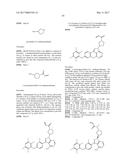 POLYFLUORINATED COMPOUNDS ACTING AS BRUTON TYROSINE KINASE INHIBITORS diagram and image