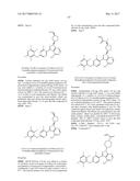 POLYFLUORINATED COMPOUNDS ACTING AS BRUTON TYROSINE KINASE INHIBITORS diagram and image