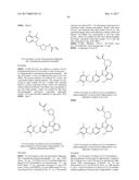 POLYFLUORINATED COMPOUNDS ACTING AS BRUTON TYROSINE KINASE INHIBITORS diagram and image