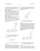 POLYFLUORINATED COMPOUNDS ACTING AS BRUTON TYROSINE KINASE INHIBITORS diagram and image