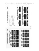 VIRTUAL HOSTING DEVICE AND SERVICE TO PROVIDE SOFTWARE-DEFINED NETWORKS IN     A CLOUD ENVIRONMENT diagram and image