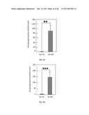 METHODS AND COMPOSITIONS FOR THE TREATMENT OF GLAUCOMA diagram and image