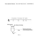 METHODS AND COMPOSITIONS FOR THE TREATMENT OF GLAUCOMA diagram and image