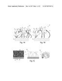 SCAFFOLDS COMPRISING NANOELECTRONIC COMPONENTS FOR CELLS, TISSUES, AND     OTHER APPLICATIONS diagram and image