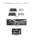 SCAFFOLDS COMPRISING NANOELECTRONIC COMPONENTS FOR CELLS, TISSUES, AND     OTHER APPLICATIONS diagram and image