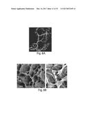 SCAFFOLDS COMPRISING NANOELECTRONIC COMPONENTS FOR CELLS, TISSUES, AND     OTHER APPLICATIONS diagram and image