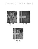 SCAFFOLDS COMPRISING NANOELECTRONIC COMPONENTS FOR CELLS, TISSUES, AND     OTHER APPLICATIONS diagram and image