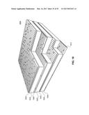 METHODS FOR ARRANGING NANOSCOPIC ELEMENTS WITHIN NETWORKS, FABRICS AND     FILMS diagram and image