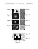 High-speed Binary Laser Beam Shaping and Scanning diagram and image