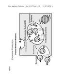 TARGETED EXTRACELLULAR VESICLES COMPRISING MEMBRANE PROTEINS WITH     ENGINEERED GLYCOSYLATION SITES diagram and image