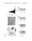 TARGETED EXTRACELLULAR VESICLES COMPRISING MEMBRANE PROTEINS WITH     ENGINEERED GLYCOSYLATION SITES diagram and image