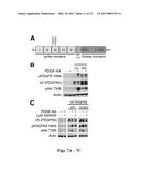 PLATELET-DERIVED GROWTH FACTOR RECEPTOR MUTATIONS AND COMPOSITIONS AND     METHODS RELATING THERETO diagram and image